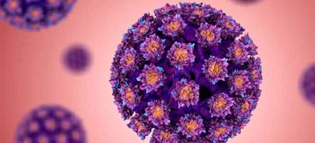 HPV - İnsan papillomavirusu